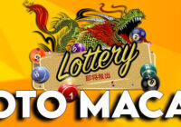 The Lottery Phenomenon: A Hopeful Pursuit of Dreams and Fortunes