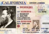 Fake IDs: What You Need to Know Before Buying One