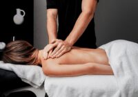 The Art and Science of Massage: Healing Touch for Body and Mind