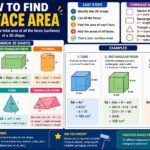 How to Find Surface Area Easily in Geometry how to find surface area
