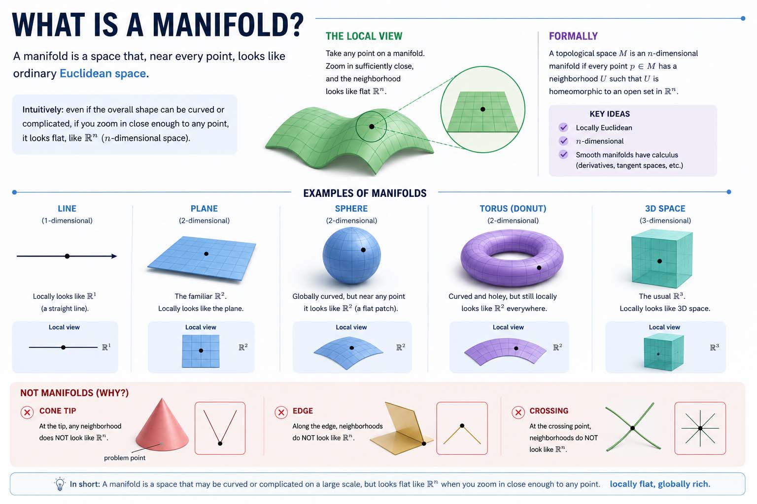 what is a manifold